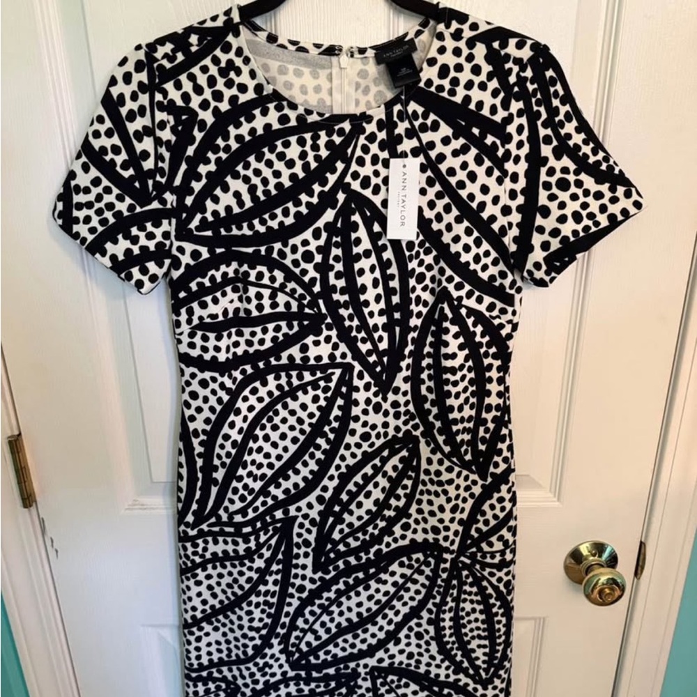 NWT Ann Taylor Black and White Dress